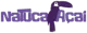 das paletitas
